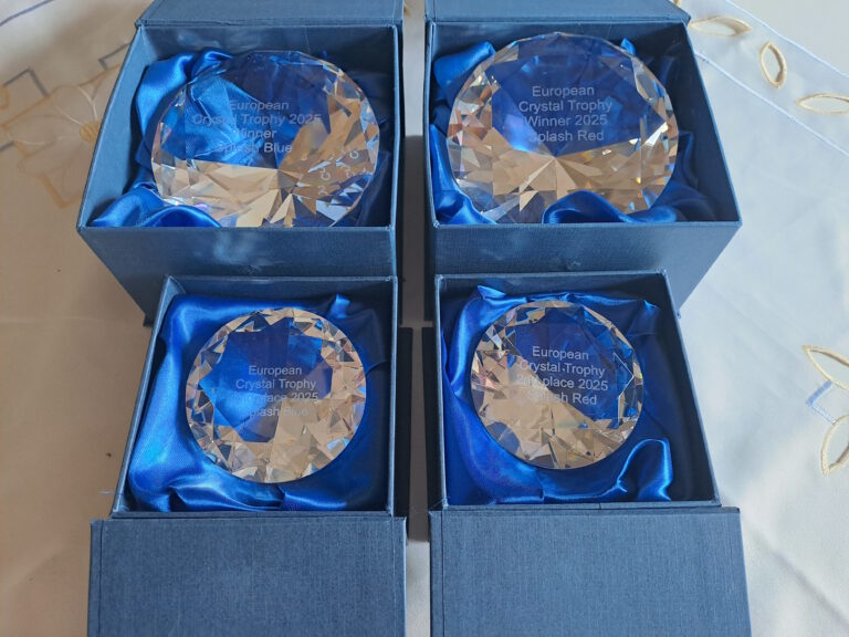 Preise Crystal Trophy